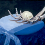 still life of skeleton and scarf